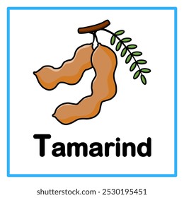 Introduction to the alphabet with examples. T is for tamarind. Suitable for children's practice and great for toddlers' flash cards