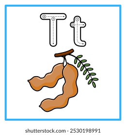 Introduction to the alphabet with examples. T is for tamarind. Suitable for children's practice and great for toddlers' flash cards