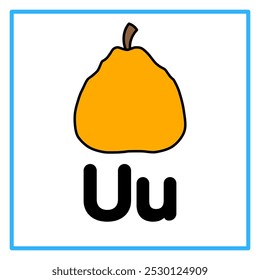 Introduction to the alphabet with examples. U is for ugli fruit. Suitable for children's practice and great for toddlers' flash cards