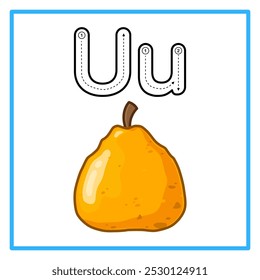 Introduction to the alphabet with examples. U is for ugli fruit. Suitable for children's practice and great for toddlers' flash cards