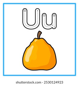 Introduction to the alphabet with examples. U is for ugli fruit. Suitable for children's practice and great for toddlers' flash cards