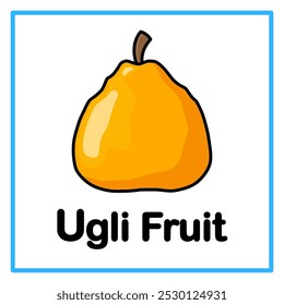 Introduction to the alphabet with examples. U is for ugli fruit. Suitable for children's practice and great for toddlers' flash cards