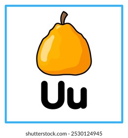 Introduction to the alphabet with examples. U is for ugli fruit. Suitable for children's practice and great for toddlers' flash cards