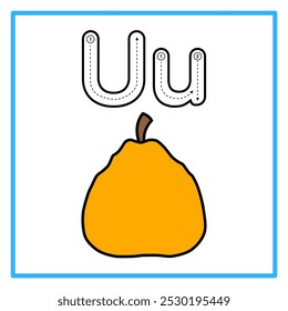 Introduction to the alphabet with examples. U is for ugli fruit. Suitable for children's practice and great for toddlers' flash cards