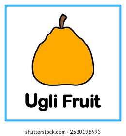 Introduction to the alphabet with examples. U is for ugli fruit. Suitable for children's practice and great for toddlers' flash cards