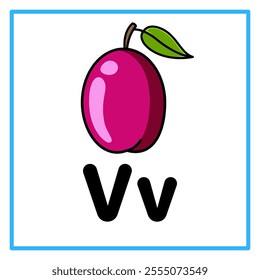 Introduction to the alphabet with examples. V is for victoria plum. Suitable for children's practice and great for toddlers' flash cards