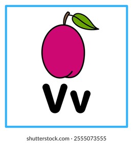 Introduction to the alphabet with examples. V is for victoria plum. Suitable for children's practice and great for toddlers' flash cards