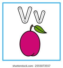 Introduction to the alphabet with examples. V is for victoria plum. Suitable for children's practice and great for toddlers' flash cards