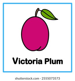 Introduction to the alphabet with examples. V is for victoria plum. Suitable for children's practice and great for toddlers' flash cards