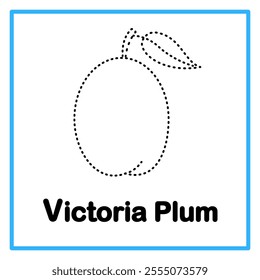 Introduction to the alphabet with examples. V is for victoria plum. Suitable for children's practice and great for toddlers' flash cards