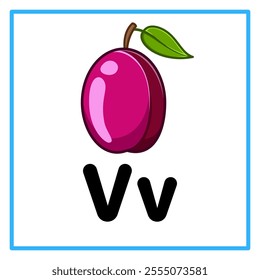 Introduction to the alphabet with examples. V is for victoria plum. Suitable for children's practice and great for toddlers' flash cards