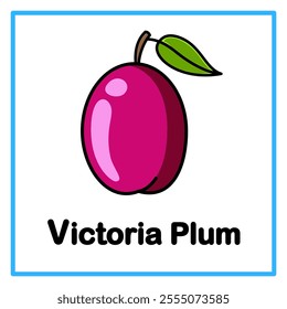 Introduction to the alphabet with examples. V is for victoria plum. Suitable for children's practice and great for toddlers' flash cards