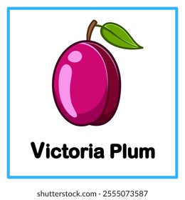 Introduction to the alphabet with examples. V is for victoria plum. Suitable for children's practice and great for toddlers' flash cards