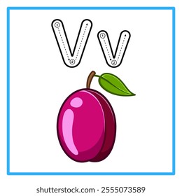 Introduction to the alphabet with examples. V is for victoria plum. Suitable for children's practice and great for toddlers' flash cards