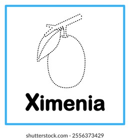 Introduction to the alphabet with examples. X is for ximenia. Suitable for children's practice and great for toddlers' flash cards