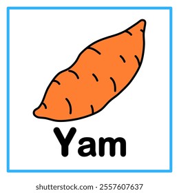 Introduction to the alphabet with examples. Y is for yam. Suitable for children's practice and great for toddlers' flash cards