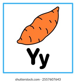 Introduction to the alphabet with examples. Y is for yam. Suitable for children's practice and great for toddlers' flash cards