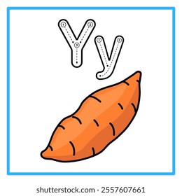 Introduction to the alphabet with examples. Y is for yam. Suitable for children's practice and great for toddlers' flash cards