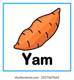 Introduction to the alphabet with examples. Y is for yam. Suitable for children's practice and great for toddlers' flash cards