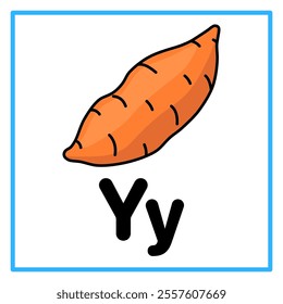 Introduction to the alphabet with examples. Y is for yam. Suitable for children's practice and great for toddlers' flash cards