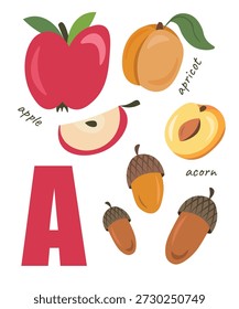 An introduction to the alphabet: the letter A with examples. Illustrations of the letter A. Suitable for teaching children and ideal for picture cards for toddlers at school. A reading flashcard