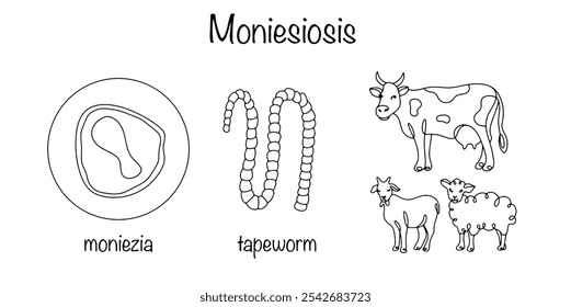 Doença invasiva de bovinos, ovinos e caprinos, causada por parasitismo no intestino delgado de helmintos da família Anoplocephalidae. Ilustração em preto e branco sobre o tema das doenças animais.