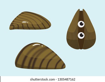 Invasive Species Zebra Mussel Vector Illustration