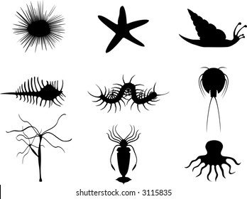 Invertebrate icons