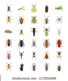 
Invertebrates Flat Icons Set 
