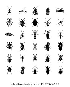
Invertebrates Glyph Icons Set 
