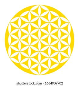 Inverted golden Flower of Life. Geometrical figure, spiritual symbol and Sacred Geometry. Overlapping circles forming a flower like pattern with symmetrical structure. Illustration over white. Vector.