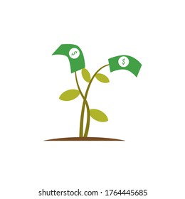 investment money tree vector design template illustration