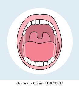 Invisalign Ataches Orthodontist vector illustrator