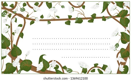 Invitation, card with a botanical ornament of green leaves, white flowers and stems of the plant Actinidia Kolomikta.