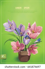 Invitation card with bouquet of crocus, can be used as congratulation design for wedding. Vintage greeting background with watercolor flowers. Floral template