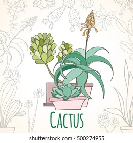 Invitation card of cactus in pots isolated on light background. Hand drawn vector decorative elements can be used for holiday cards, invitation, postcard, flyer, banner or website. Floral design.