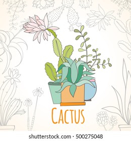 Invitation card of cactus in pots isolated on light background. Hand drawn vector decorative elements can be used for holiday cards, invitation, postcard, flyer, banner or website. Floral design.