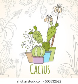 Invitation card of cactus in pots isolated on light background. Hand drawn vector decorative elements can be used for holiday cards, invitation, postcard, flyer, banner or website. Floral design.