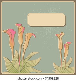 invitation card with calla flowers, vector