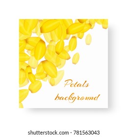 Invitation card design with falling petals of flowering tulips