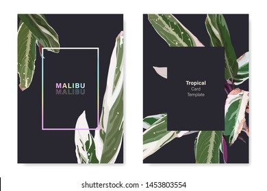 Invitation card design of tropical exotic plants in pastel tint saturation color and neon rainbow luminescence, simple and minimal flat design template