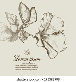 invitation card, greeting with hibiscus flowers