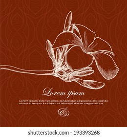 invitation card, greeting with plumeria (Frangipani) flowers