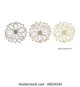 invitation card with hand drawn flowers, vector