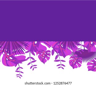invitation card monstera proton purple, background tropical leaves plastic pink, flower frame monstera ufo green