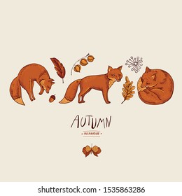Invitation card of red fox, autumn orange leaves. Vector vintage hand drawn greeting card, natural elements.