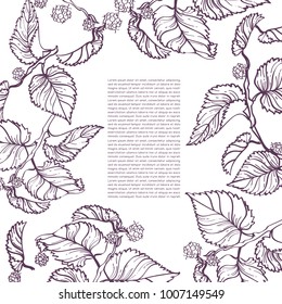 Invitation Card Template : Decorative Frame with Botanical Elements : Vector Illustration
