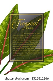 invitation card template design with exotic tropical leaves stock vector illustration