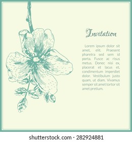 Invitation card template with dog-rose flower. Retro eco style