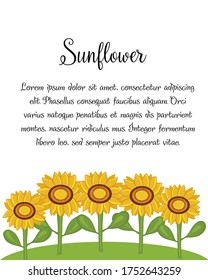 Invitation card template with sunflowers. Vector isolated on white hand drawn graphics.